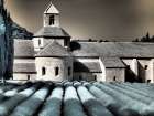 France, Provence. Blooming purple lavender fields at Senanque Abbey. Art Print